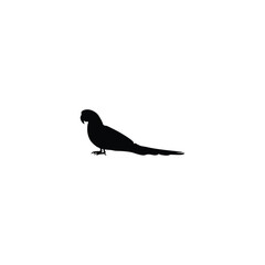 Bird silhouette