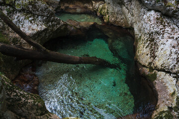 Sunikov Vodni Gaj Nature Preserve, Slovenia © bepsphoto