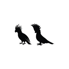 Fototapeta premium Bird silhouette