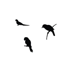 Obraz premium Bird silhouette