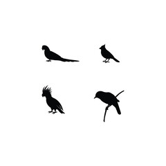 Bird silhouette