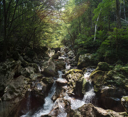 Sunikov Vodni Gaj Nature Preserve, Slovenia © bepsphoto