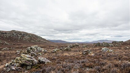 Eerie moorland landscape with sparse vegetation and rocky outcrops under overcast skies Embrace solitude in this haunting scenery