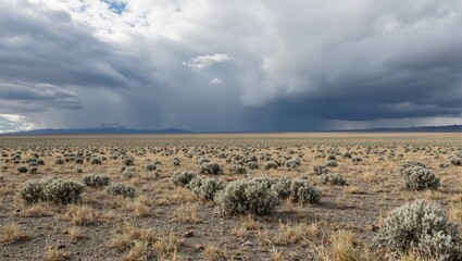 Fototapeta premium Majestic steppe landscape under dramatic storm clouds showcasing resilient shrubs in harsh wind swept terrain