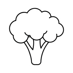 vector illustration of a broccoli