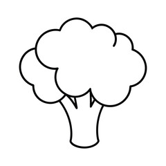 vector illustration of a  broccoli.