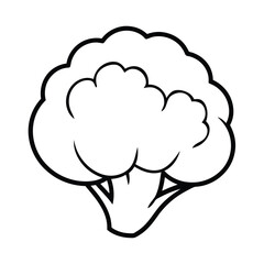 vector illustration of a cauliflower