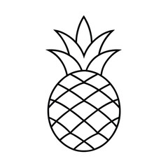 vector illustration of pineapple