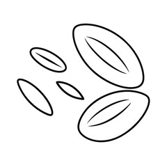 Fototapeta premium coffee beans vector illustration