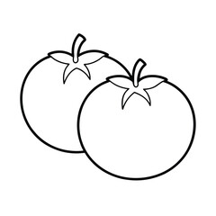 vector illustration of a red tomatoes
