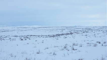 Fototapeta premium Desolate tundra landscape with snow covered plains under a cold blue overcast sky Emphasis on barren harsh environment