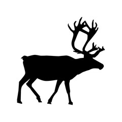 Raindeer Cartoon  5.eps