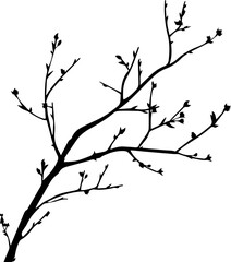 black and white silhouette of a twig with leaves, minimalist vector illustration