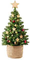 Decorated Christmas Tree on transparent background