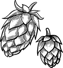 Detailed Black and White Hop Cone Vector Illustration