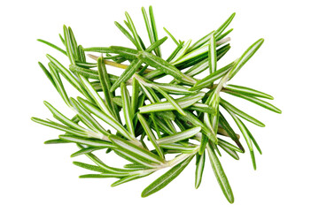 Fototapeta premium Fresh Rosemary Image on transparent background