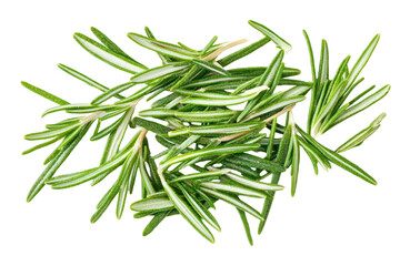 Fototapeta premium Fresh Rosemary Image on transparent background