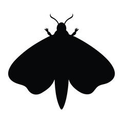 Black silhouette Moth with no background 