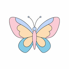 butterfly on white background