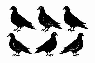 columbidae icon set silhouette vector bundle