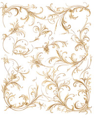 Floral flower vector Illustrations on white background