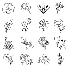 Flower twelve unique line drawings of beautiful blooms, suitable for cards, stationery, or floral
