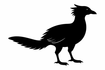 Columbidae silhouette black vector