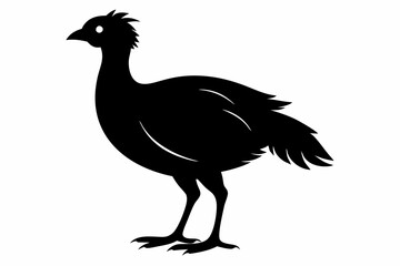 Columbidae silhouette black vector