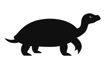 turtle vector illustration