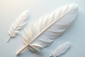 Obraz premium Delicate white feather texture, intricate pattern , surface, winter