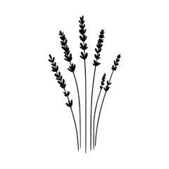 Black and white minimalist vector of lavender flowers