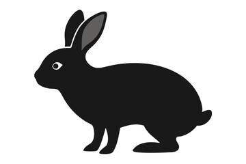black rabbit on white background
