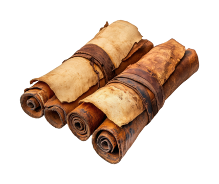 Ancient manuscripts display museum exhibit historic items isolated on transparent background