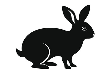 black and white rabbit