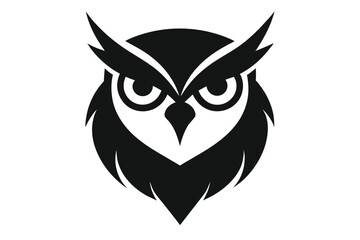owl on white background