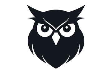 owl on white background