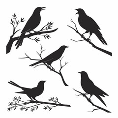 Cuckoo icon set black silhouette icon vector bundle
