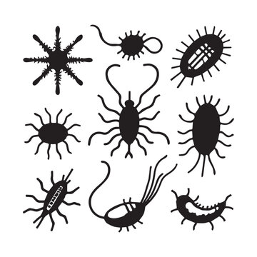sun animalcule, is a fascinating heliozoan protozoan found in freshwater environments. 