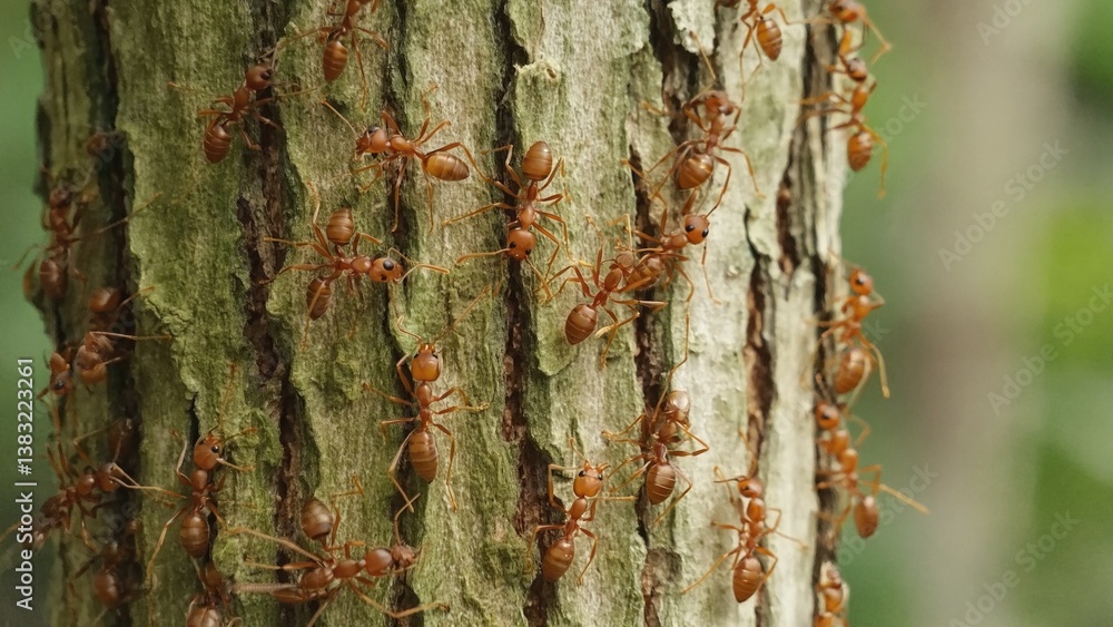 Poster a group of ants working together to climb a tree, suitable for use in illustrations about teamwork o