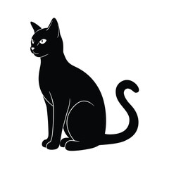 black cat on white background