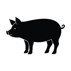 vector illustration of a pig