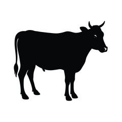 silhouette of a cow