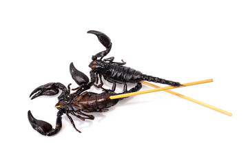 Roasted insects. Amazing exotic snack street food. Two fried Scorpions - Heterometrus laoticus on skewers isolated on white background.
