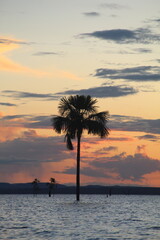 por do sol na praia dos buritis em palmas, tocantins 