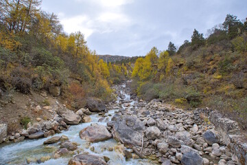 Paro River along Jomolhari Trekking Route