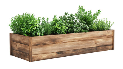 A rustic wooden planter box filled with a variety of lush green herbs and plants on black background
