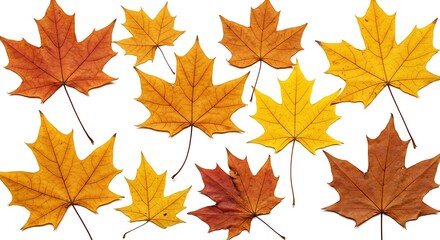 Obraz premium Autumn's Golden Dance AI Generated