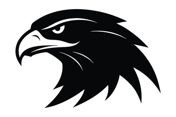 eagle head vector illustration