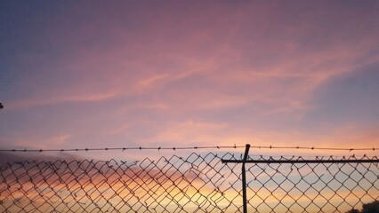 A bird perched on top of a barbed wire fence, surrounded by natural scenery
