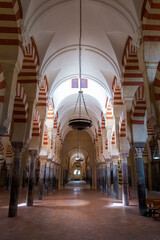 The famous Mezquita, the ancient mosquee in Cordoba, Andalusia, Spain. with the typical columns and colorful arches. Perspective view of a nave.